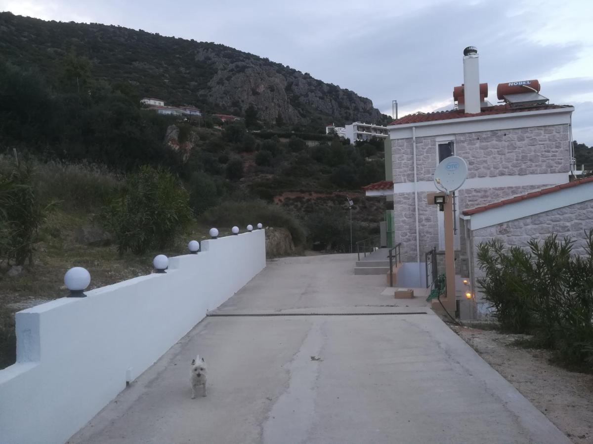 Villa Stone House In Olive Grove Tolón Exterior foto