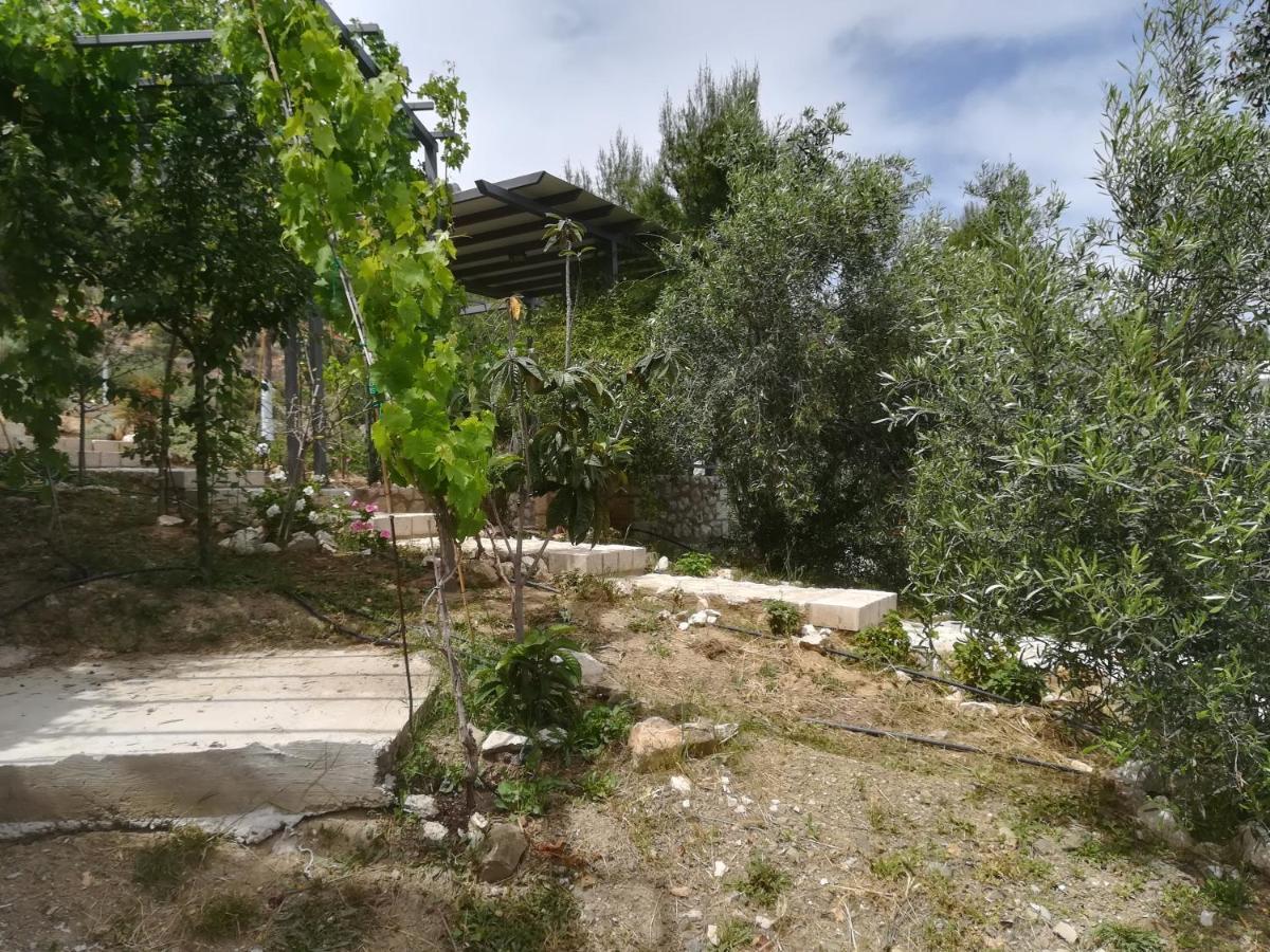 Villa Stone House In Olive Grove Tolón Exterior foto