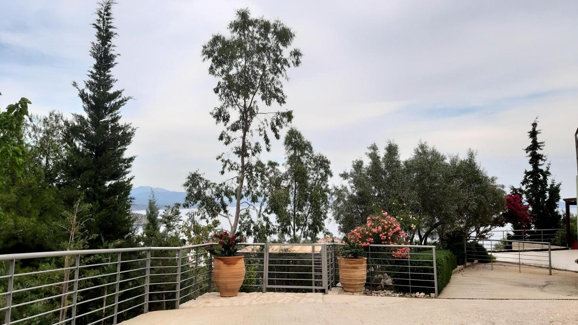 Villa Stone House In Olive Grove Tolón Exterior foto
