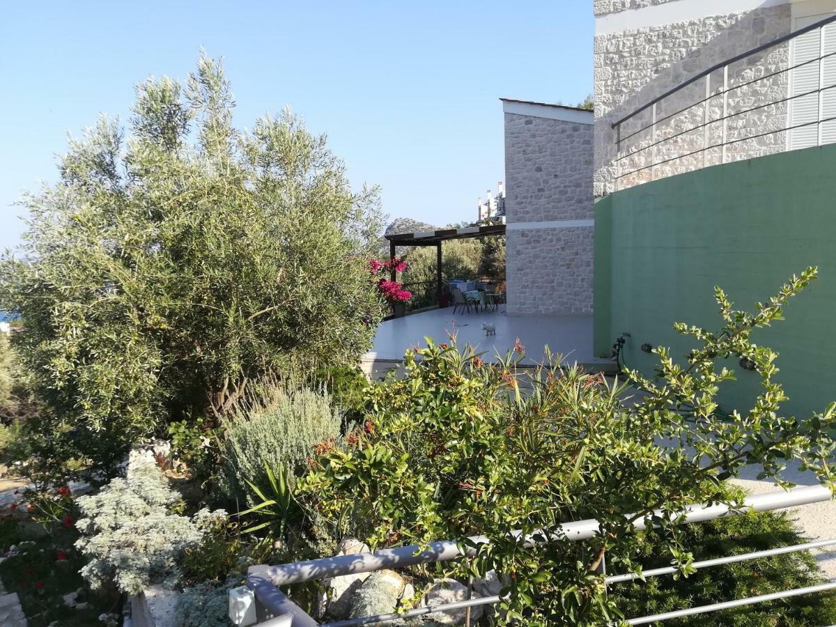 Villa Stone House In Olive Grove Tolón Exterior foto
