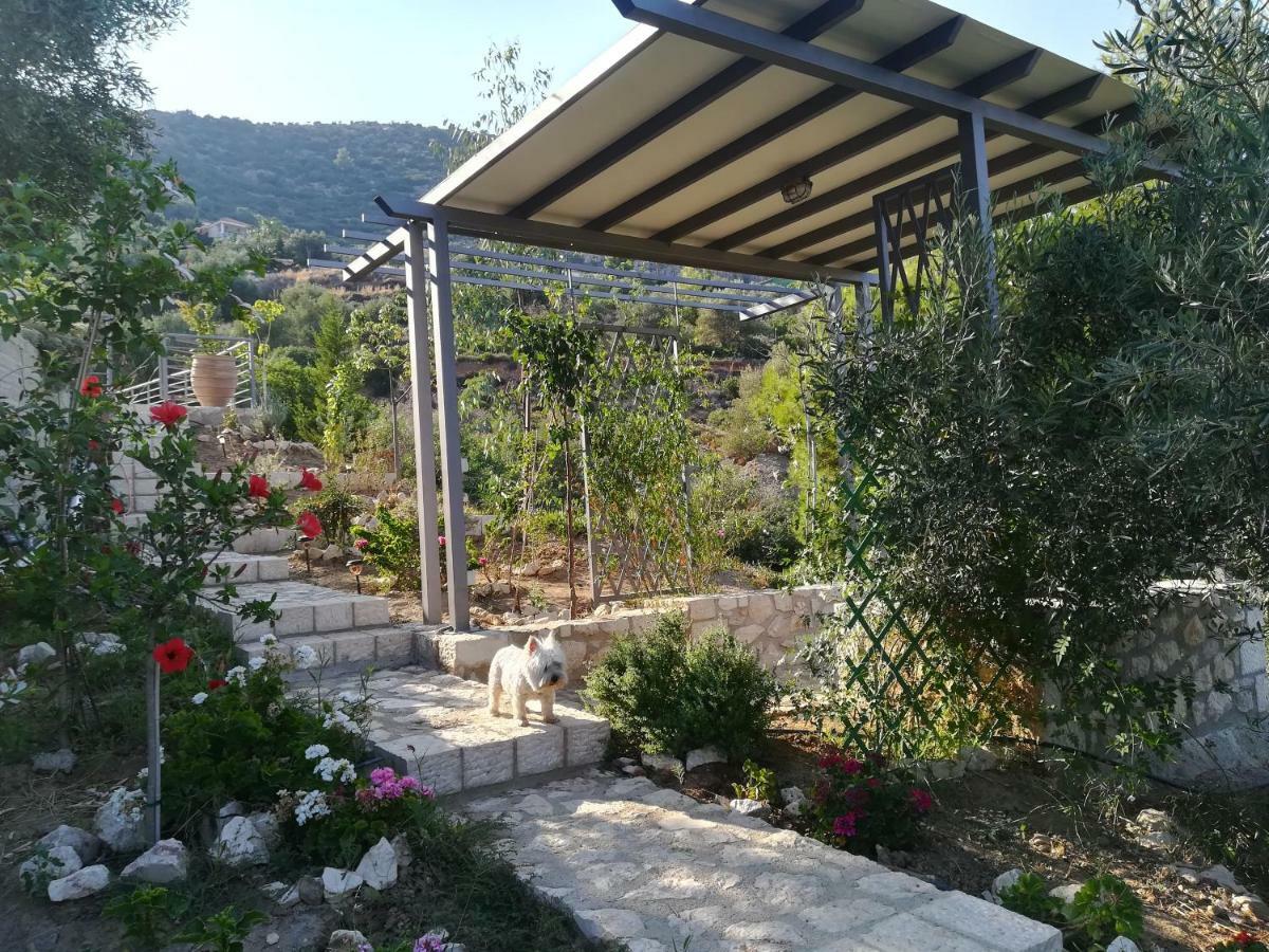Villa Stone House In Olive Grove Tolón Exterior foto
