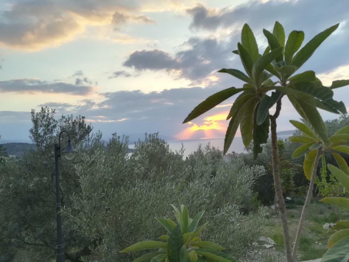 Villa Stone House In Olive Grove Tolón Exterior foto